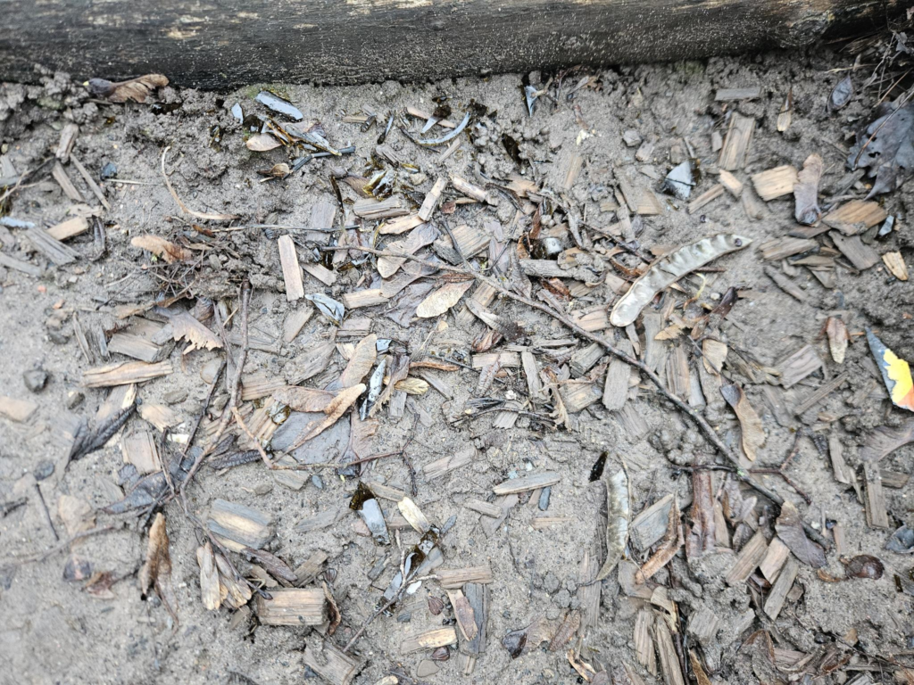 Glas liegt in der Erde zwische Laub und Stöckchen